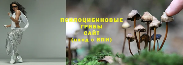каннабис Богородицк