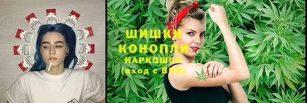 СК Богородск