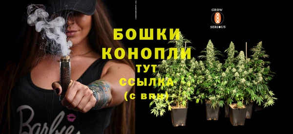 шишки Бугульма