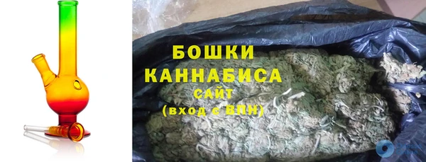 СК Богородск