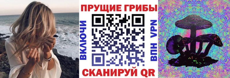 Купить где Краснокаменск Галлюциногенные грибы мухоморы